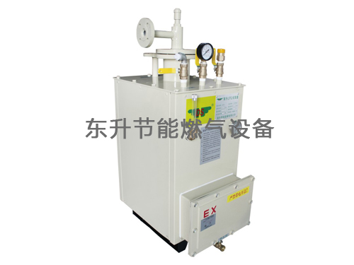 麻豆久久成人大片(LPG)防爆型麻豆TV在线观看器(DS30—50kg／h)